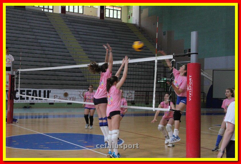 140501 volley1 062_tn.jpg